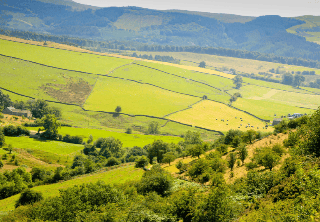 Staffordshire